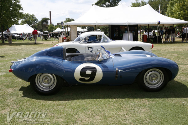 1955 Jaguar D-Type