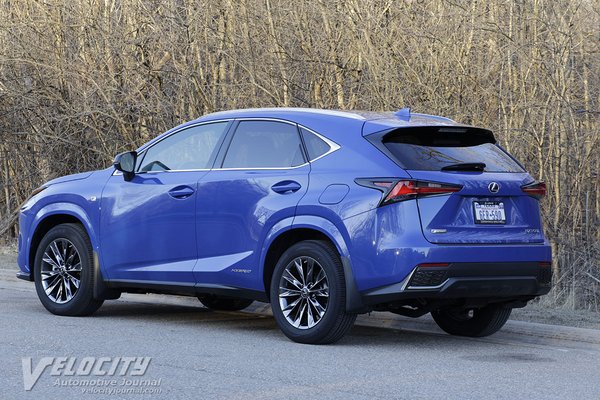 2021 Lexus NX 300H Black Line