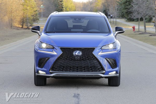 2021 Lexus NX 300H Black Line