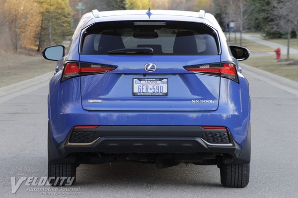 2021 Lexus NX 300H Black Line