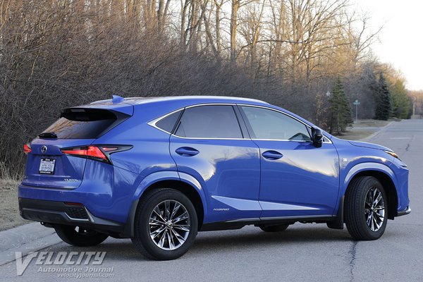 2021 Lexus NX 300H Black Line