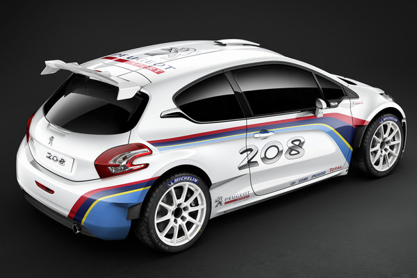 2013 Peugeot 208 Type R5