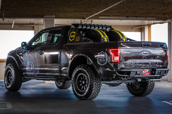 2014 Ford Deegan 38 F-150