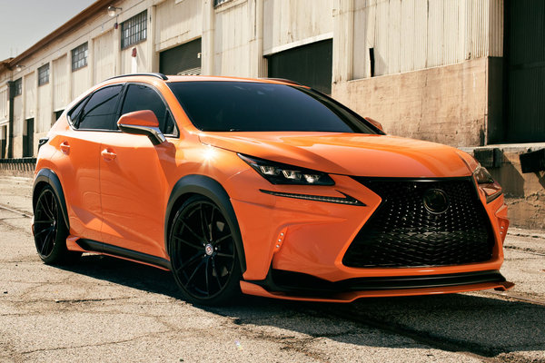 2014 Lexus NX 200t Sport by 360 Elite Motorworks