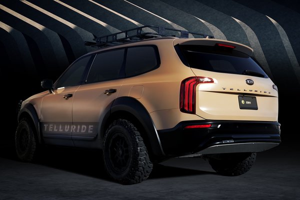 2018 Kia Telluride Desert Drifter